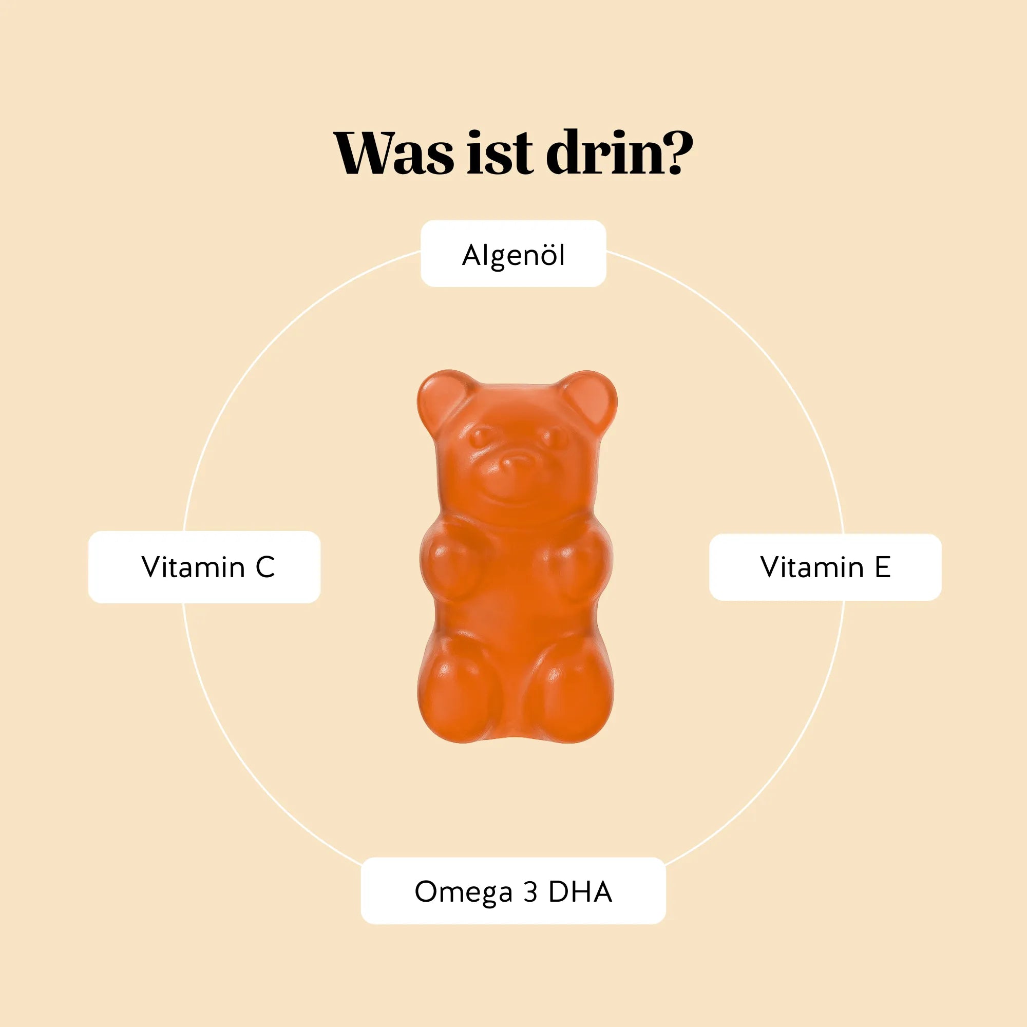 Inhaltsstoffe der Catch Of The Day Vitality Support Vitamin-Gummibärchen von Bears with Benefits, sorgfältig ausgewählt für Immunsystem und Gehirnfunktion.