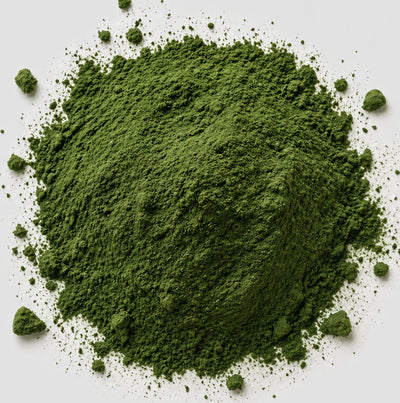 Chlorella