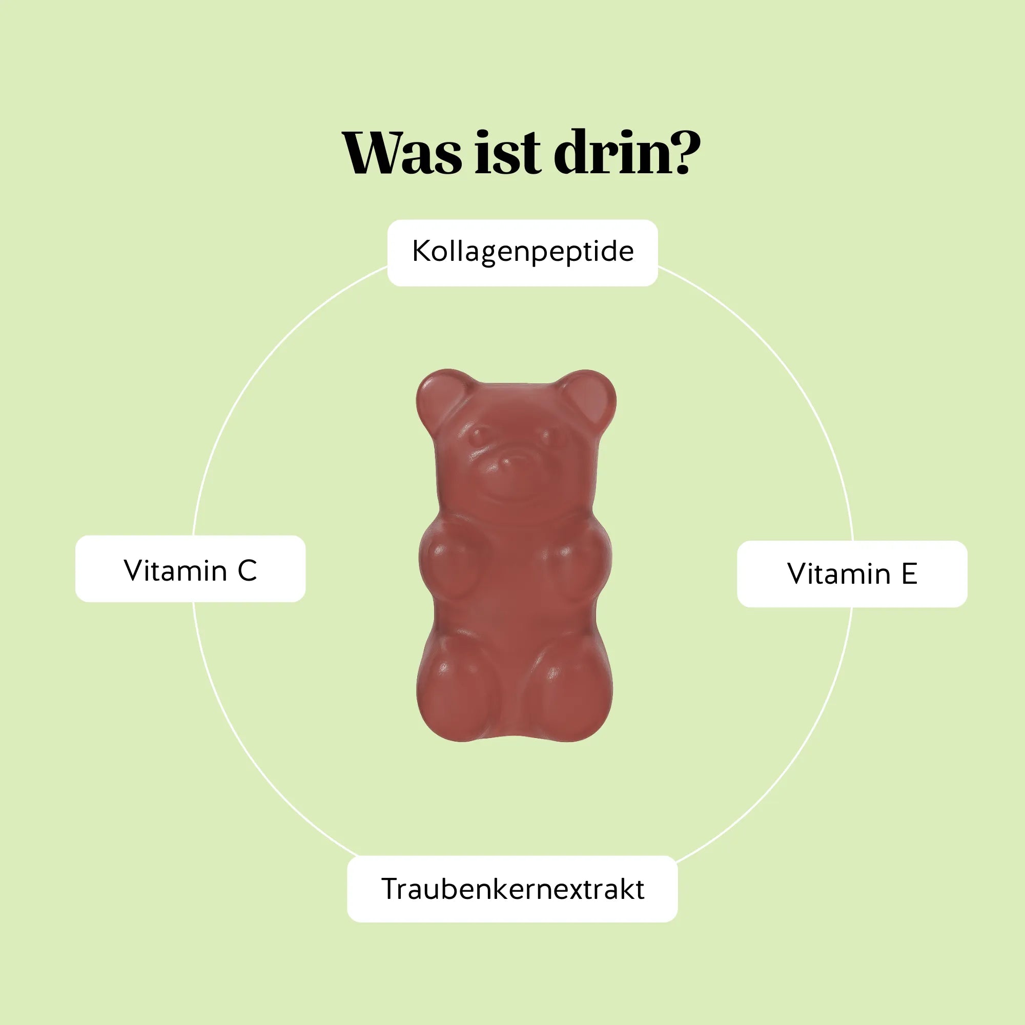 Inhaltsstoffe des Lift Me Up* Silhouette Vitamin Kollagen & OPC von Bears with Benefits, sorgfältig ausgewählt mit Kollagenpeptiden, Traubenkernextrakt (OPC), Vitamin C und Vitamin E.