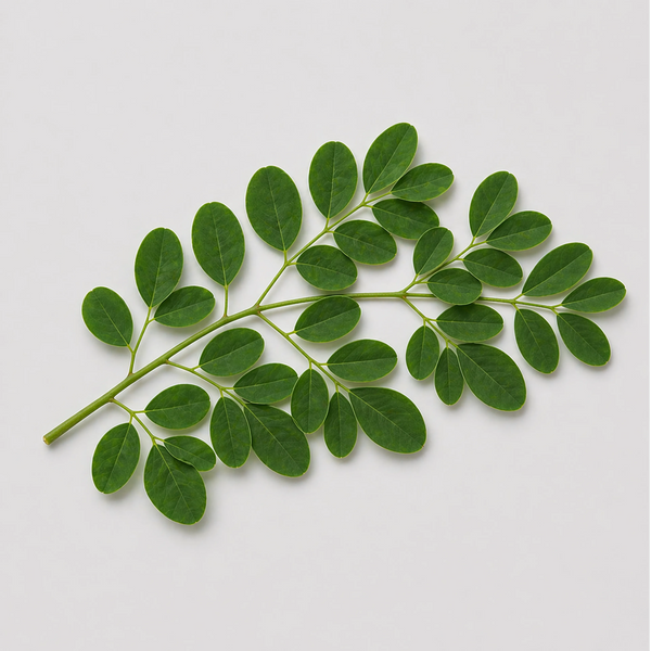 Moringa